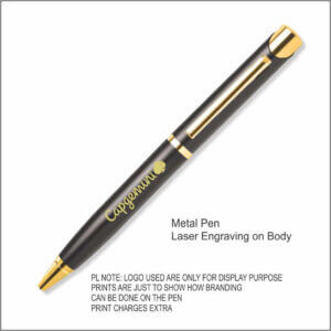 SGMP0013 METAL PEN